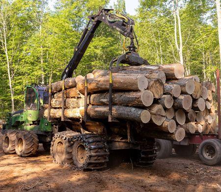 1210G John Deere forwarder with a full load of timber